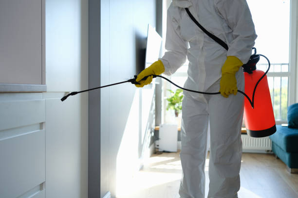 Chelan, WA Mold Removal Company